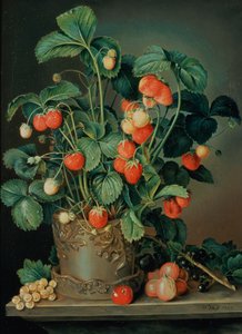 Nature morte avec des fraises